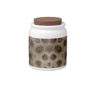 Petoskey Stone Candy Jar