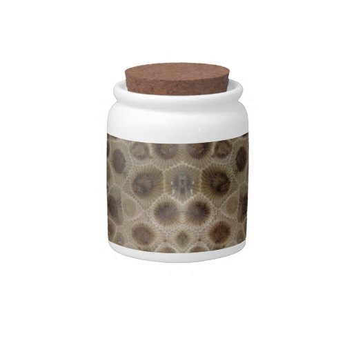 Petoskey Stone Candy Jar