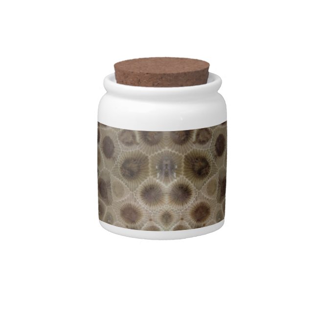 Petoskey Stone Candy Jar (Front)