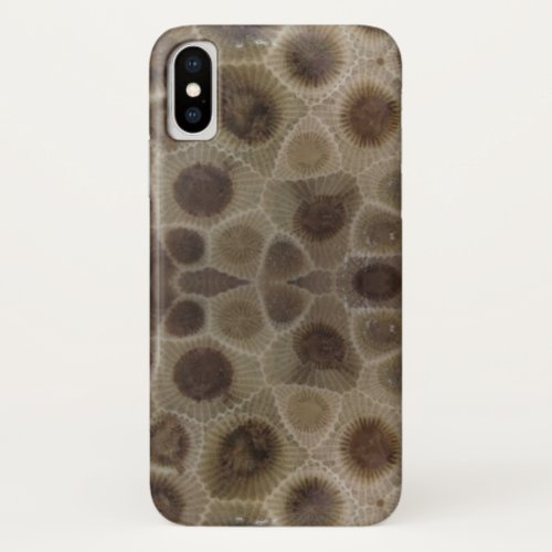 Petoskey Stone iPhone X Case