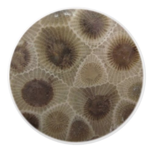 Petoskey Stone Ceramic Knob