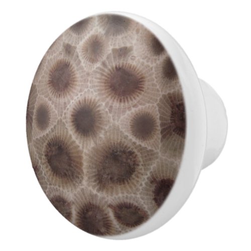 Petoskey Stone Ceramic Knob