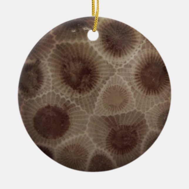 Petoskey Stone Ceramic Ornament (Front)