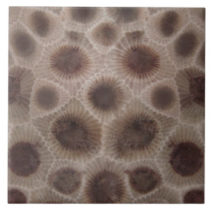 Petoskey Stone Ceramic Tile