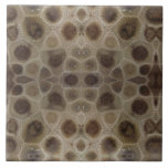 Petoskey Stone Ceramic Tile<br><div class="desc">Show that you’re smitten with the mitten with this Petoskey stone design. Celebrate the Great Lakes!</div>