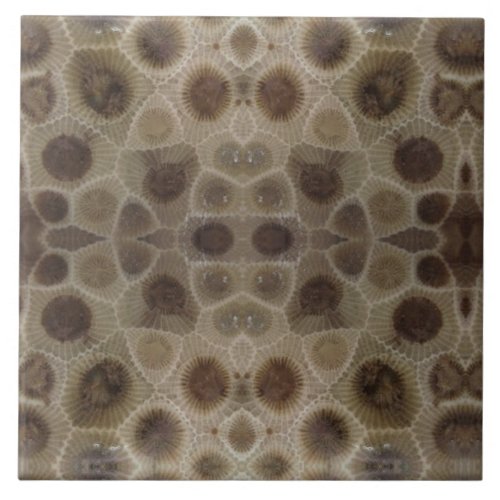 Petoskey Stone Ceramic Tile