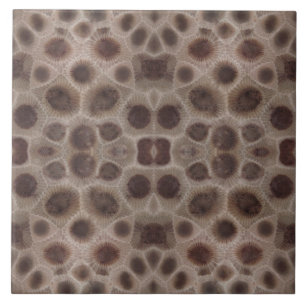 Petoskey Stone Ceramic Tile