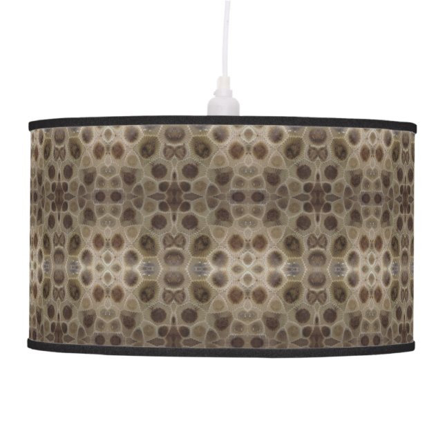 Petoskey Stone great lake state michigan Ceiling Lamp (Front)
