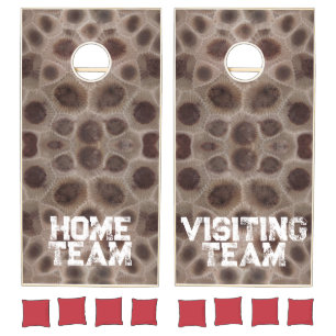 Petoskey Stone, Michigan state stone  Cornhole Set