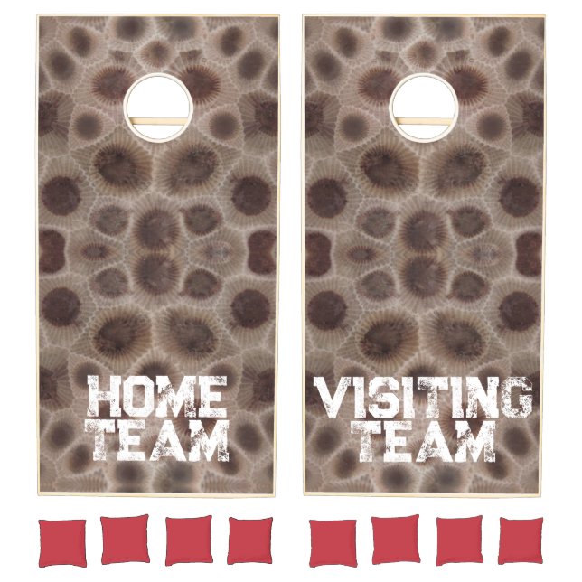 Petoskey Stone, Michigan state stone  Cornhole Set (Set)