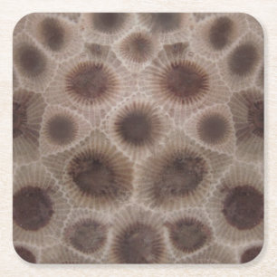 Petoskey Stone michigan state stone fossil Square Paper Coaster