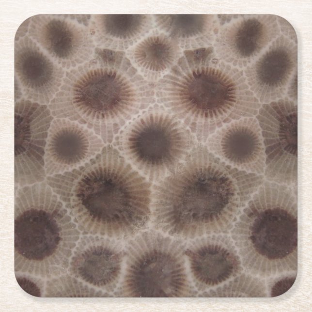 Petoskey Stone michigan state stone fossil Square Paper Coaster (Front)
