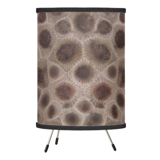 Petoskey Stone Michigan stone fossil  Tripod Lamp (Left)