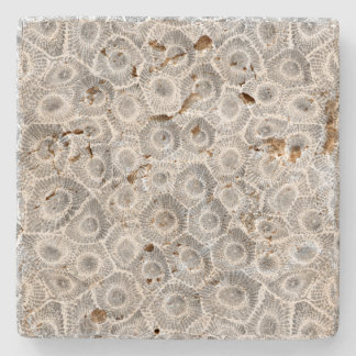Petoskey Stone Pattern Coaster