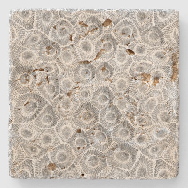 Petoskey Stone Pattern Coaster (Front)