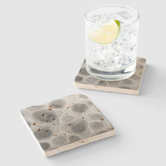 Petoskey Stone Pattern Coaster