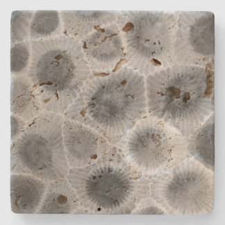 Petoskey Stone Pattern Coaster