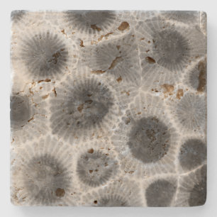 Petoskey Stone Pattern Stone Coaster