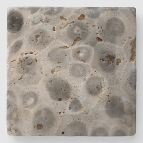 Petoskey Stone Pattern Stone Coaster