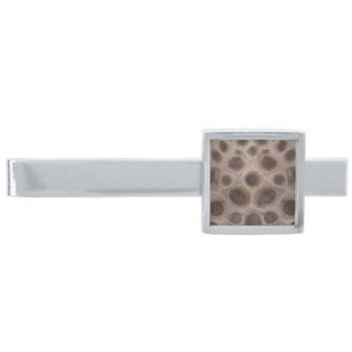 Petoskey Stone Silver Finish Tie Bar