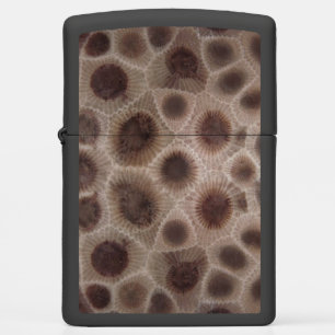Petoskey Stone Zippo Lighter