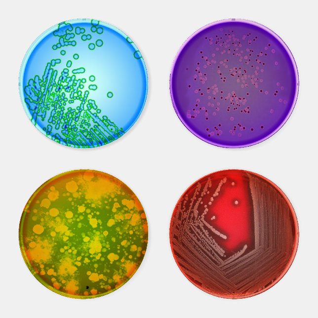 Petri Dish Coaster Set (Set)