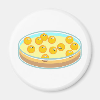 Petri Dish MRSA Magnet