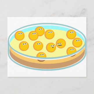 Petri Dish MRSA Postcard