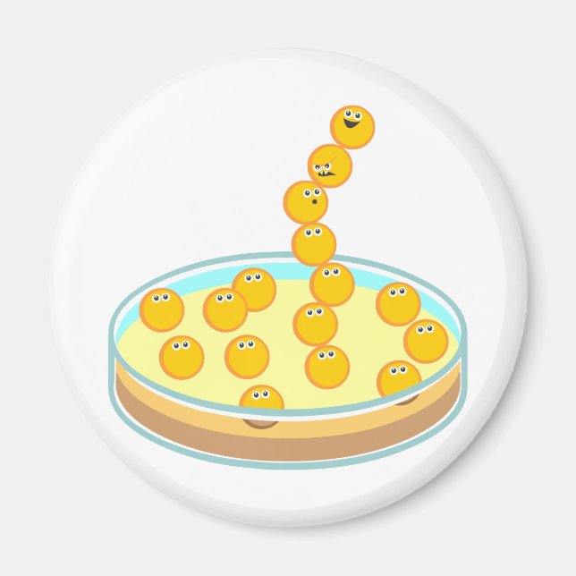 Petri Dish Tower Magnet (Front)