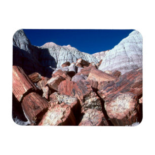 Petriefied Wood, Petrified Forest NP, Arizona Magnet