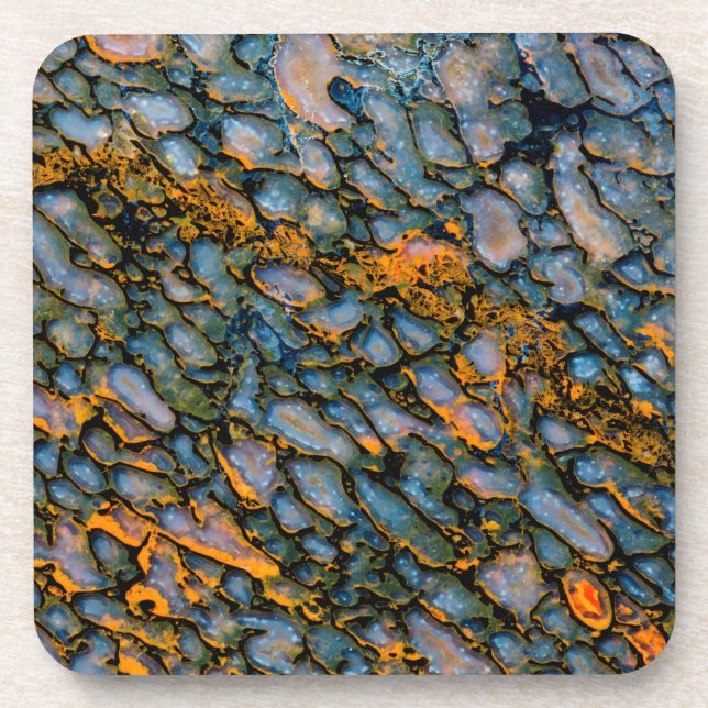 Petrified Dinosaur Bone Beverage Coaster (Front)
