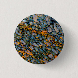 Petrified Dinosaur Bone Button