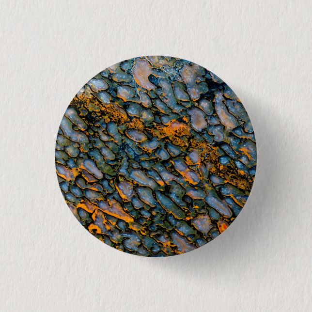 Petrified Dinosaur Bone Button (Front)