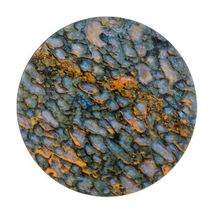 Petrified Dinosaur Bone Cutting Board