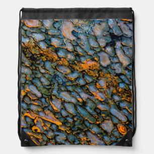 Petrified Dinosaur Bone Drawstring Bag