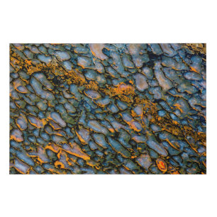 Petrified Dinosaur Bone Faux Canvas Print