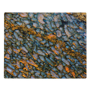 Petrified Dinosaur Bone Jigsaw Puzzle