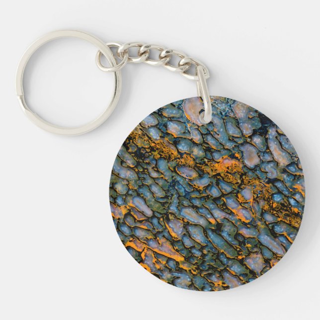 Petrified Dinosaur Bone Keychain (Front)