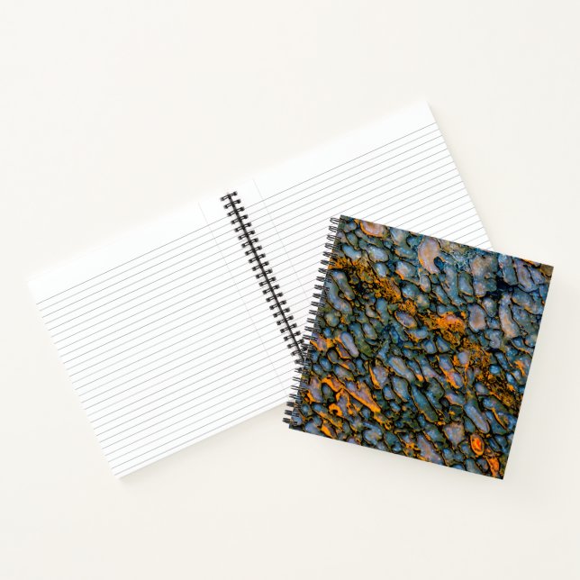 Petrified Dinosaur Bone Notebook (Inside)