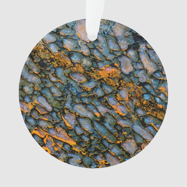 Petrified Dinosaur Bone Ornament (Front)