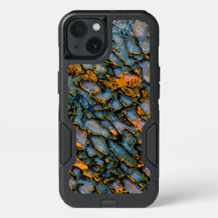 Petrified Dinosaur Bone iPhone 13 Case