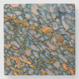 Petrified Dinosaur Bone Stone Coaster