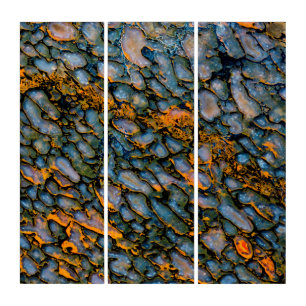 Petrified Dinosaur Bone Triptych