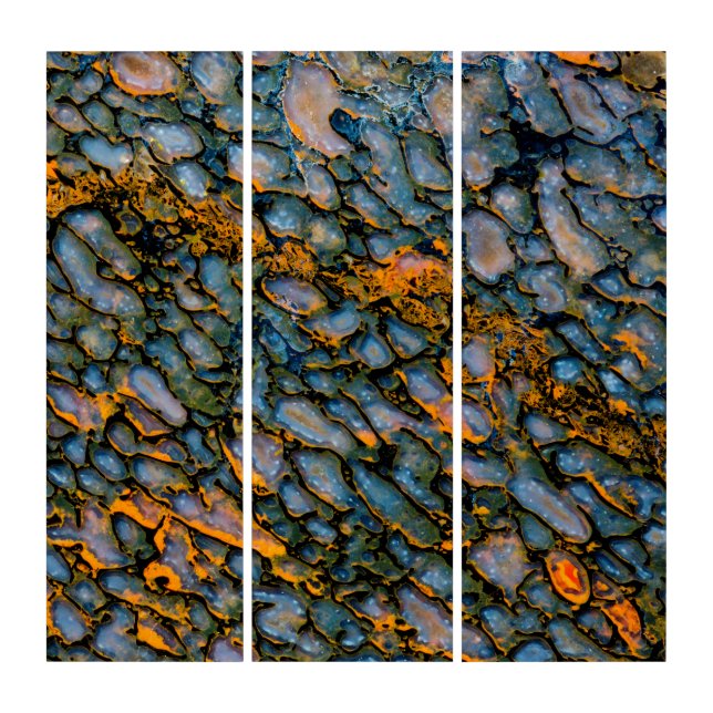 Petrified Dinosaur Bone Triptych (Front)