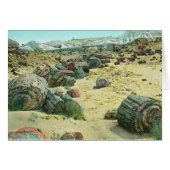 Petrified Forest (Front Horizontal)