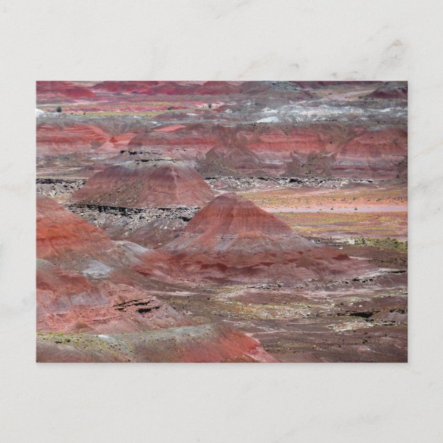 Petrified Forest 2 Postcard (Front)