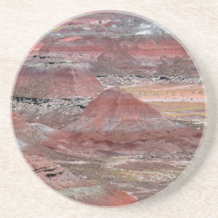Petrified Forest 2 Sandstone Coaster