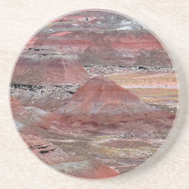 Petrified Forest 2 Sandstone Coaster (Front)