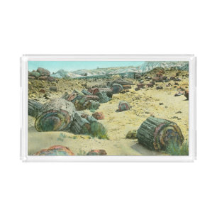 Petrified Forest Acrylic Tray