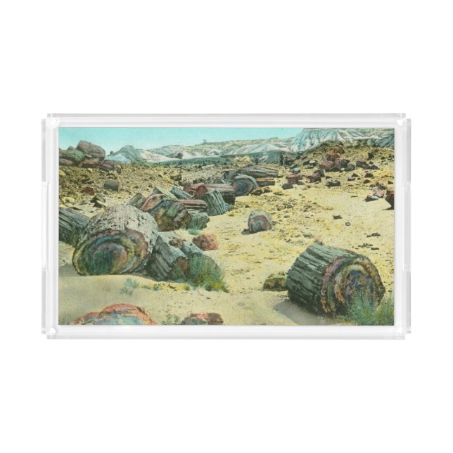 Petrified Forest Acrylic Tray (Front)